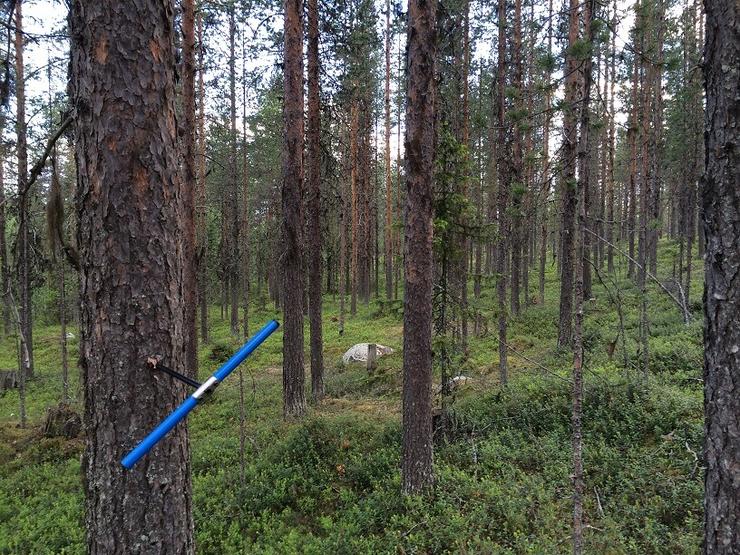 Förhandsvisning av bild