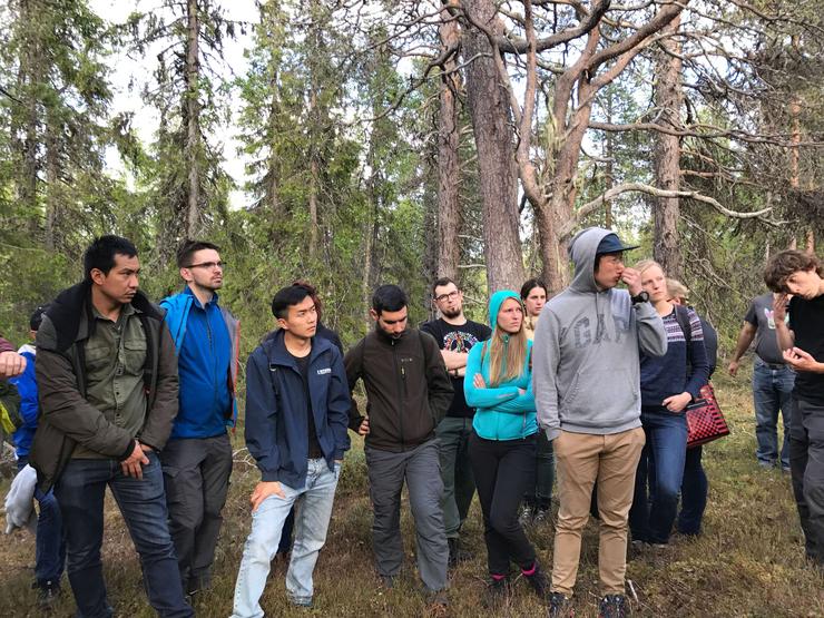 Förhandsvisning av bild