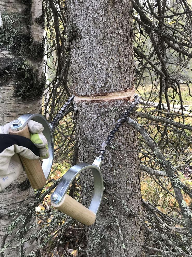 Förhandsvisning av bild